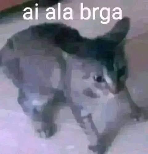 Mexicano Mundialista tweet media