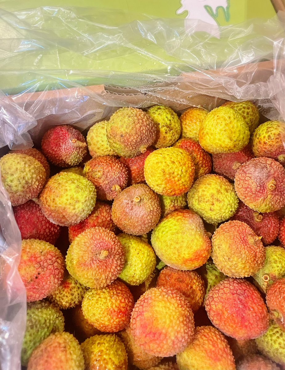 TomMarche's tweet photo. おはようございます☀️
今日のメニュー⸜(*ˊᗜˋ*)⸝

夏の定番メニュー🥭🌺宮崎マンゴー🥹今日は歯がいらないくらい一段とトロトロ‥🧡🧡

前回はぷりぷり生ライチが大人気でした💎✨瑞々しくて爽やかな香りと甘味は生ライチならでは🥰❣️
最高級沖縄パイン🍍ゴールドバレルとの最強タッグです🤜🤛

別添えのピンク色のシロップは🥹今年はほぼ流通のなかったパープルクイーンという「幻の赤い小梅」💕

🌸華やかな味わいの梅シロップで爽やかに味変してください♩この可愛いピンク色にはアントシアニンというポリフェノールの一種が含まれているので、夏バテ疲労回復効果も期待できます🕺