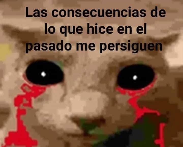 tthrcal's tweet photo. mi mente sigue en la semana pasada cuando me comí una rebqnda de pizza https://t.co/DCsOqETNXc