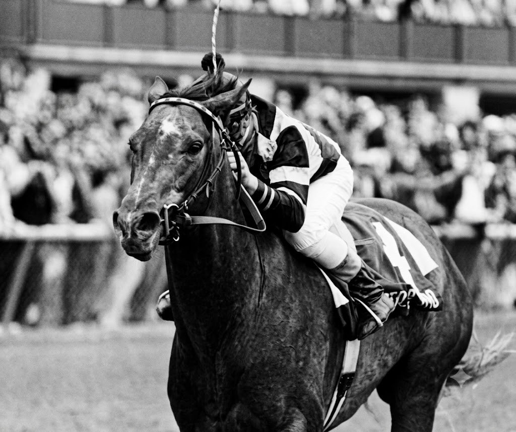 blindadosalas1's tweet photo. #Hipismo #RecordarEsVivir El 30/06/1978 debutó SPECTACULAR BID 🇺🇸 en #Pimlico con triunfo en 1.100 Mts. (64⅗) El hijo de BOLD BIDDER es uno de los mejores purasangres de la historia: Multicampeón de 2, 3 y 4 años. Doble Coronado (1979) y Caballo del Año (1980) Ganó 26 (30) https://t.co/dS71Xikc7Q