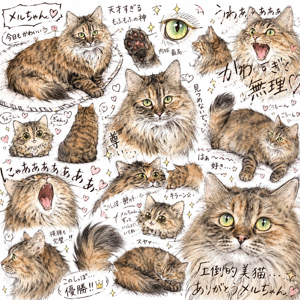 tobimel74's tweet photo. 右上↗の叫んでるの最高🤣🤭メルちゃん圧倒的美猫すぎわろた https://t.co/YaeT3KsLXk