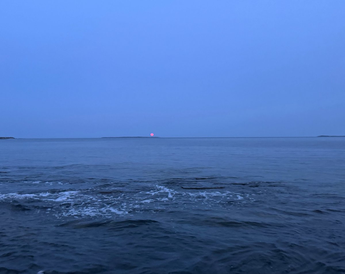 saltwatermp3's tweet photo. Strawberry moon and her tide https://t.co/JYkA90h1DW