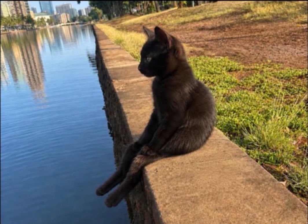 FlorissSSolis's tweet photo. Pues muy lindo el dia de hoy la verdad.
Recien reflexione que en el punto en el que estoy solo debo esperar y nada mas, un poco anticlimatico, pero no le puedo hacer nada. https://t.co/v4nGsIkXf0