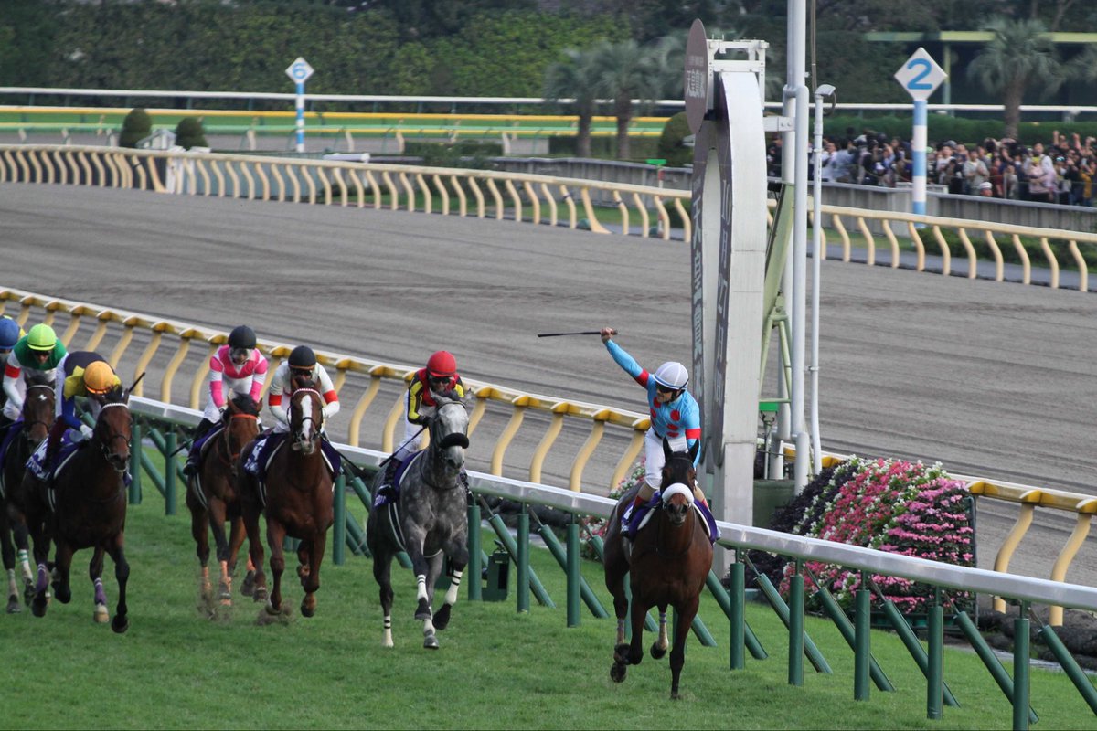 Bellagiomk's tweet photo. @misskoichiro 競走馬を撮ってる友人に誘われて。
機材揃えて東京開催通ってました。
たまに遠征も… https://t.co/3IlWDczLHr