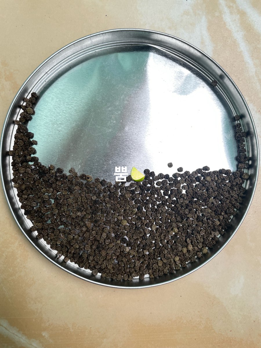 bbumbukacang's tweet photo. Lupaa bgt belum update perladaan. Ternyata beberapa hari setelah metik panasnya tuh kureng bgt, lebih sering ademnya. Biasa 3-4 hari jemur paling lama udah gosong bgt.

Penyusutannya lumayan bgt kan kalo udah mateng lada hitamnya wkwk https://t.co/kvsUjy9nlh