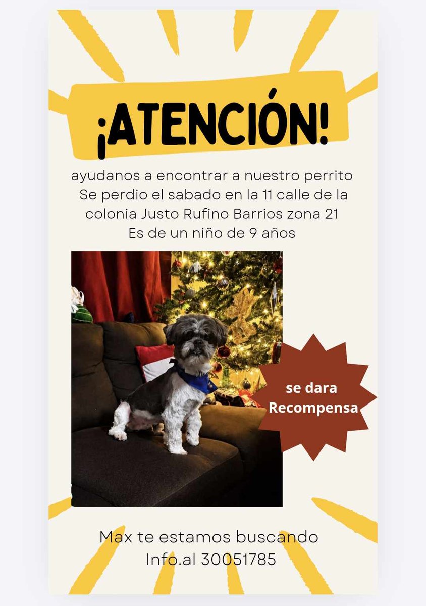 guatexanimales2's tweet photo. #comparte https://t.co/CRzz8uA515