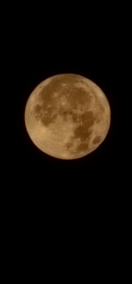 Alia_N_Muhammad's tweet photo. Strawberry full moon tonight!
#Dubai #محرم_١٤٤٨هـ 
#15thMuharram1448 
#nofilter https://t.co/VsftvLmZAr