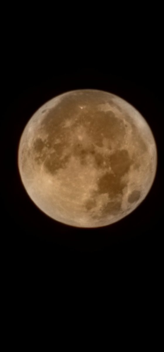 Alia_N_Muhammad's tweet photo. Strawberry full moon tonight!
#Dubai #محرم_١٤٤٨هـ 
#15thMuharram1448 
#nofilter https://t.co/VsftvLmZAr