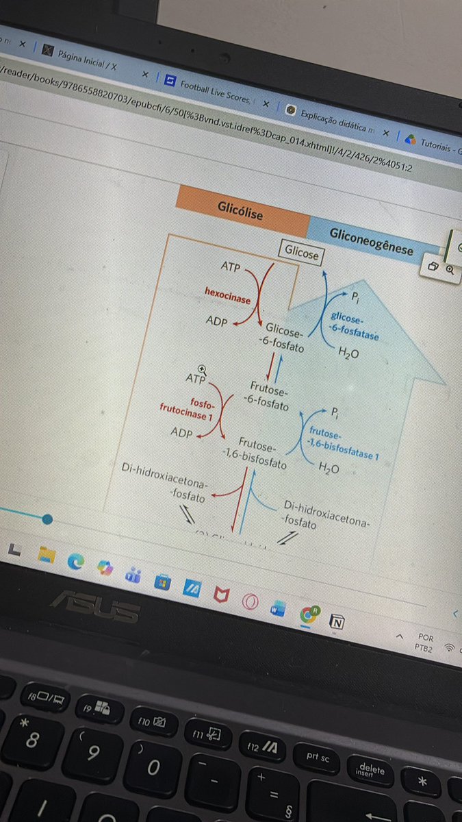 rafa_hsss's tweet photo. 😍😍🥰🥰bioquimica😍😍 https://t.co/KiunUXscir