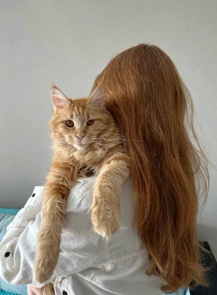 dvilstrnge's tweet photo. Ginny Weasley https://t.co/HUKgXMcPu9