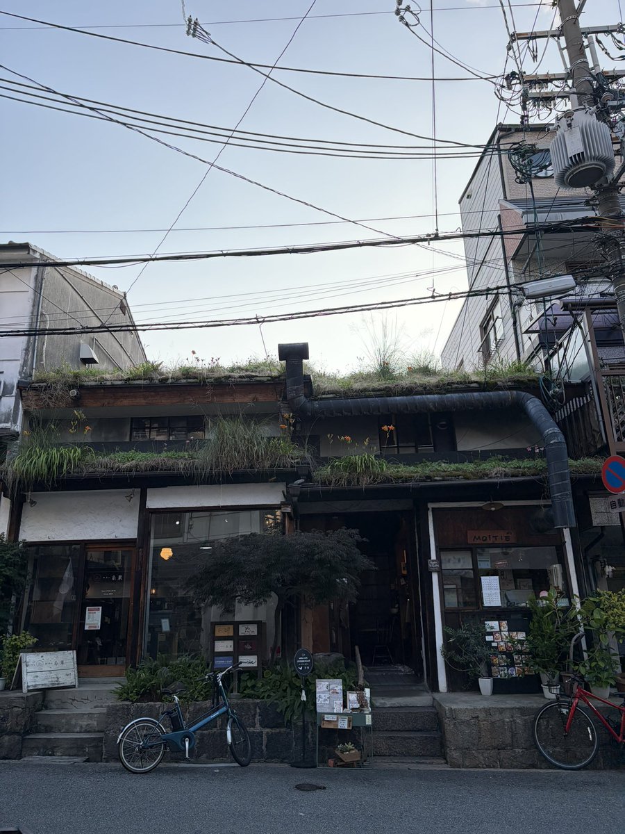 atelierROCA's tweet photo. 惣の屋根にお花が。

#空堀 #谷六 #町屋
10th🫏 https://t.co/TurjLUf31a