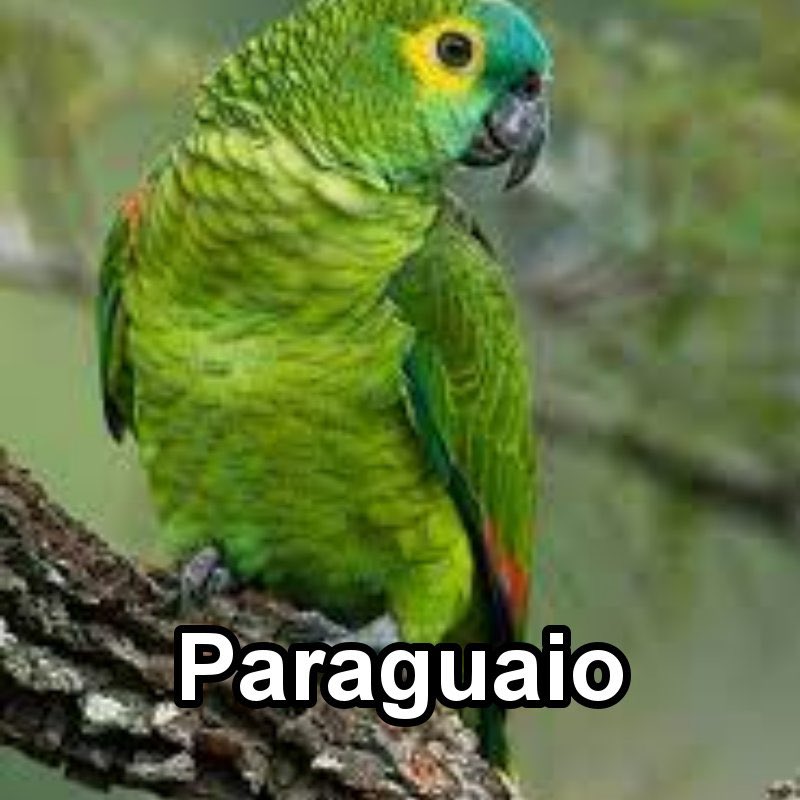 samdiro's tweet photo. @oocbrsao https://t.co/Yr478Vsjvg