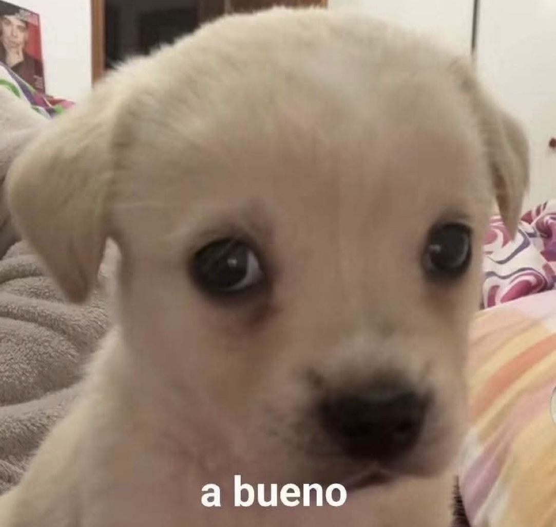 Guarromantico_'s tweet photo. *Alguien me dice cuánto me quiere*

Yo todo evitativo: https://t.co/E5eFXtCYEi
