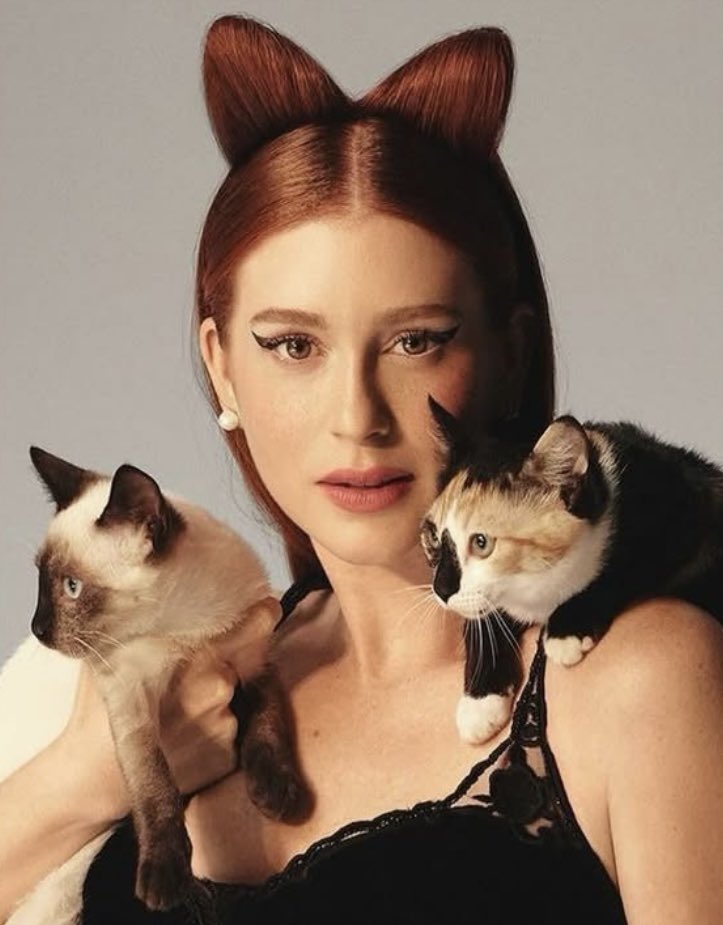 rindocasal's tweet photo. 🚨REFLEXÃO! Dona de quatro bichanos e responsável pelo resgate de mais de 300 gatos abandonados, Marina Ruy Barbosa reflete: "Eu amo gatos mais do que pessoas. 😬🐈 https://t.co/p20eWl2zU8