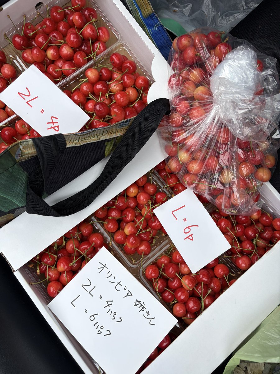 cafetointeria's tweet photo. おはようございます！
いつも有難うございます。
今年のフレッシュサクランボ🍒のトッピングは
大きくてジューシーな余市産2Lサイズの佐藤錦。
無くなり次第缶詰に戻ります😅
#フレッシュサクランボ
#季節のフルーツ 
#札幌純喫茶 https://t.co/rxkIRaWpgw