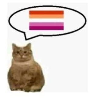 Memes20121's tweet photo. Causo ciúmes na quack, ela fala algo muito pesado pra mim e tô chorando muito. https://t.co/kyfe5JLfqA