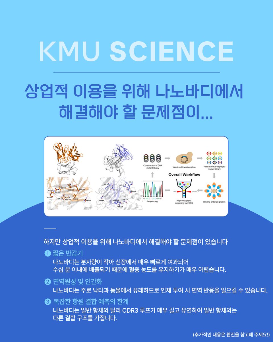 KMU_tweet's tweet photo. 웹진 103호 | KMU SCIENCE
만들기 쉬운 항체, 나노바디(Nanobody) ㅣ 융합바이오공학과 서주현 교수 🧬

국민대 웹진 [SCIENCE]에서 자세한 이야기를 확인하세요! 🔍

#국민대학교 #국민대 #KMU
#나노바디 #항체치료제 #바이오의약품
#Kookmin #university #korea https://t.co/UoqXkx0rEN