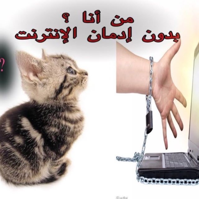 Б tweet media