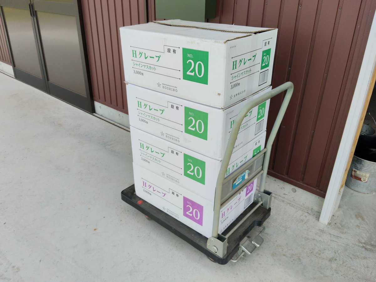 tomoyofarm's tweet photo. 今年は30a近く面積が増えたのと、生育が早く出遅れ気味のスタートで大変だったけど、何とか追いついてここまで辿り着けた。

ただ作業をこなすだけでなく、改善点の洗い出しや来期へのアイデアも多く見つけることができて、充実した農繁期を過ごせそう。 https://t.co/lT218TOUTx