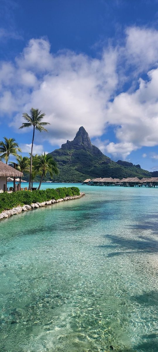 2_flowerssss's tweet photo. 📍Bora Bora, French Polynesia 🇵🇫 https://t.co/EaFW3xpIyj