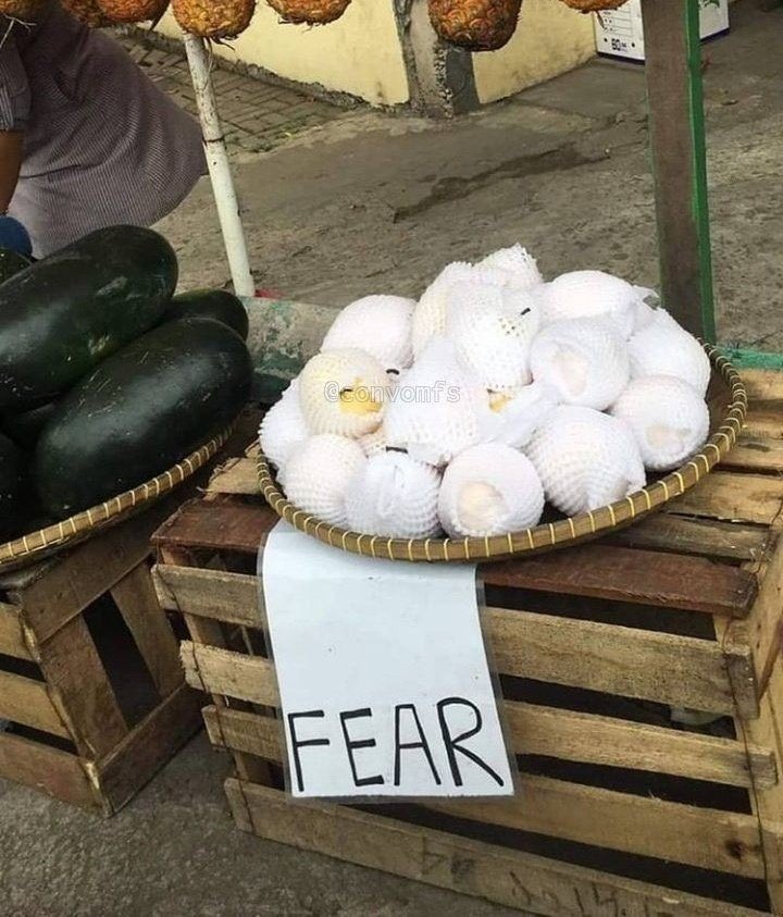 aldysuhanda_'s tweet photo. Lu suka fear nggak? https://t.co/BBCfFSI08g