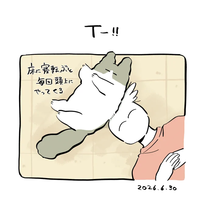 今日の日記です 