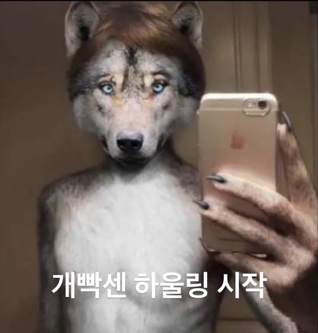 Cabbage_00_'s tweet photo. @Sol_Shihwa 꺄우울 ㅠㅠ 영영님 인용으로 알려주셔서 감사한니다 열심히 활동해서 유령계를 없애기 위한 노력의 하울링을 보여드리겠습니다 
아우우울~~ https://t.co/R282ZDA2v1