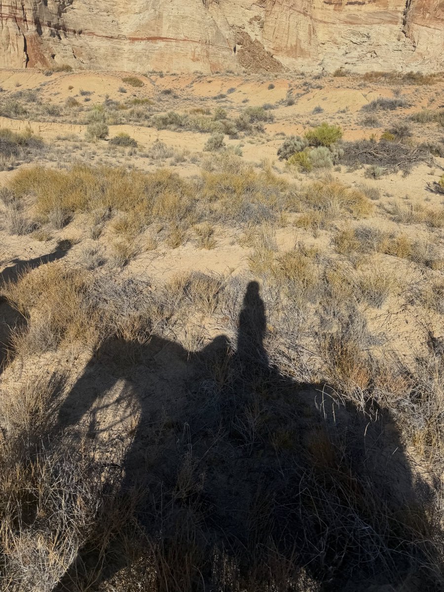 portalblackpink's tweet photo. Atualização da #LISA (lalalalisa_m):

"Habitando o horizonte de Utah" (1/5) ✨️ https://t.co/DqKK0dEnKw