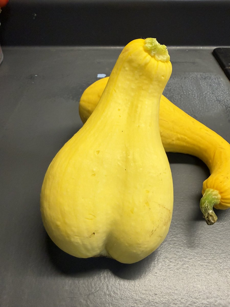 TerryMaggert's tweet photo. When your garden turns lewd. #GardenLife https://t.co/eXlFcs7uvW
