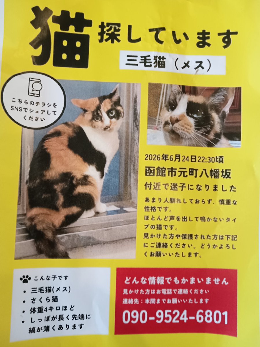 hokushoan2023's tweet photo. 北匠庵からの嬉しいお知らせ📢

２４日から行方不明のみっこちゃん🐱が昨夜無事確保されました💞

昼夜食事も寝る間も惜しんで必死に探し続ける飼い主のお兄ちゃんには心打たれました🙇

だいぶ😭やつれていたので早く回復してほしいです🤗

心配されている方々沢山居ると思いますのでRTお願いします🙇 https://t.co/vS8RNE2fB7