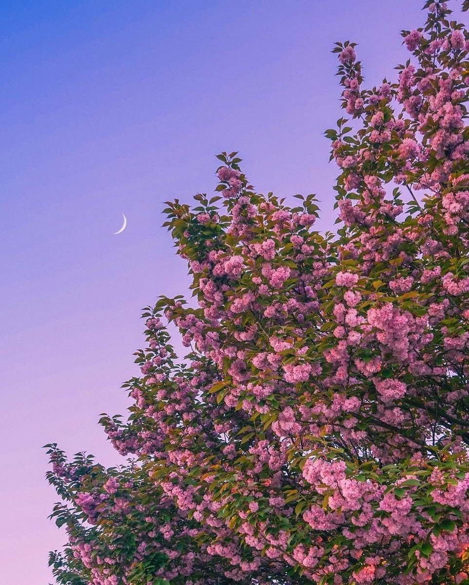 aestheticspost_'s tweet photo. https://t.co/1aP0rjbjve