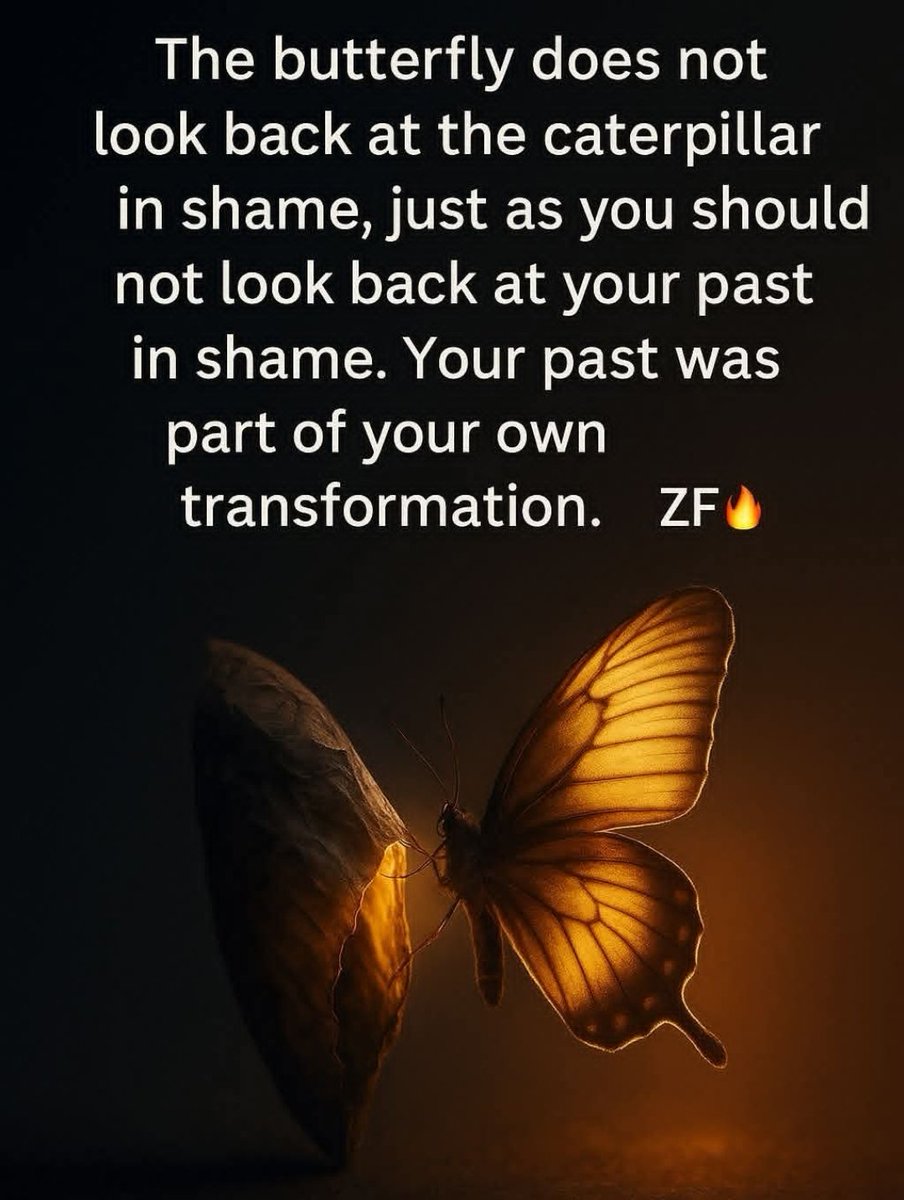 zachqfish's tweet photo. The Path Was Made by Walking Through It All 🔥

Every single thing I’ve been through... the pain, the mistakes, the regrets, the lessons... they’ve all been part of what built me.

I used to look back at certain chapters of my life with shame, wishing I could’ve done things differently. But now I see it clearly... if I were to remove even one of those experiences, my foundation wouldn’t be as strong as it is today.

I needed every version of myself to become who I am now. Every breakdown shaped me. Every failure carved out depth. Every betrayal sharpened my clarity. It wasn’t always pretty, but it was real. And now, when I stand, I stand on something solid... not because life went smoothly, but because I kept showing up for it.

So no, I don’t resent the past anymore. It was never meant to define me... only refine me. I didn’t fall off my path... the path was made by walking through it all.

ZF 🔥