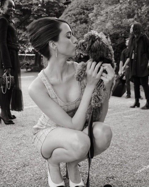 noahIamb's tweet photo. Noah needs a gay looking dog he carries everywhere with him from cons to red carpets to vacations like how margaret does with smokey https://t.co/Cvl8zQCCsV