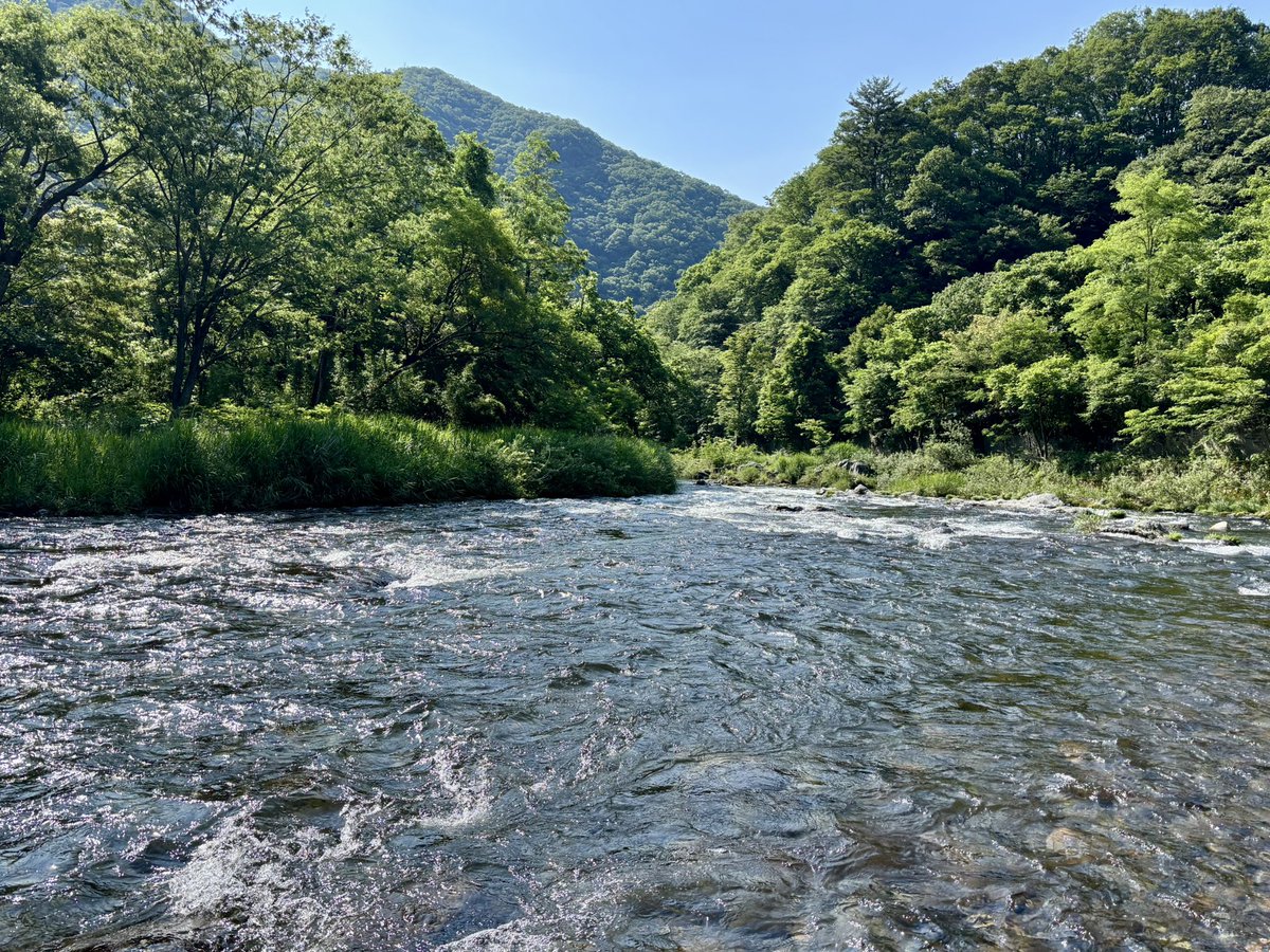 tencho_last1997's tweet photo. 朝活で閉伊川本流のヤマメ狙い🎣
水量も落ち着いてベストコンディション✨
ほとんどがガンガン瀬の流心でヒット🐟
#exts503ul
#exts62l
#山女魚
#岩魚
#ウェットウェーディング https://t.co/7wptNdnDEi