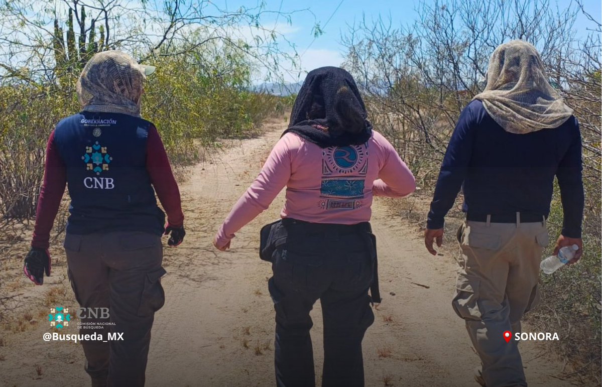 Busqueda_MX's tweet photo. ⚠️ #AccionesDeBúsqueda | #Sonora | #Nacional

Personal de la Comisión Nacional de @Busqueda_MX acudió al estado de #Sonora, como parte de las acciones permanentes para la localización de personas desaparecidas. Con la participación permanente de las familias de personas desaparecidas.

Las actividades consistieron en prospección pedestre, excavación de pozos de sondeo, exploración de pozos de agua mediante descenso vertical, recorridos de reconocimiento e inspección de diversos puntos de interés señalados por familiares y autoridades.

Esta jornada se realizó en coordinación con la Fiscalía Especial en Investigación de los Delitos de Desaparición Forzada de la FGR, la Policía Ministerial Federal, la Comisión de Búsqueda de Personas del Estado de Sonora, la Secretaría de Seguridad y Protección Ciudadana (SSPC) y la Secretaría de Marina (SEMAR).

Para el @GobiernoMX estas labores en territorio son prioridad nacional. Continuamos fortaleciendo las búsquedas en vida y forense, con enfoque humanitario y de atención a las familias.

#PersonasDesaparecidas #AlertaNacional #BúsquedaNacional #HastaEncontrarles