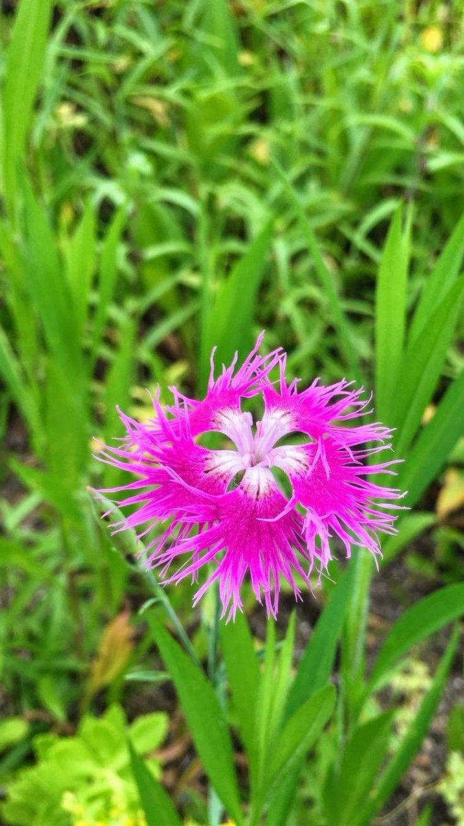 Naturepathway's tweet photo. https://t.co/3ui5mRcBDr