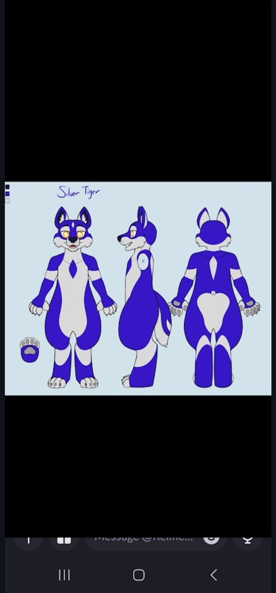 WolfTiger112's tweet photo. @InflatableJade https://t.co/QHOgRRImxC