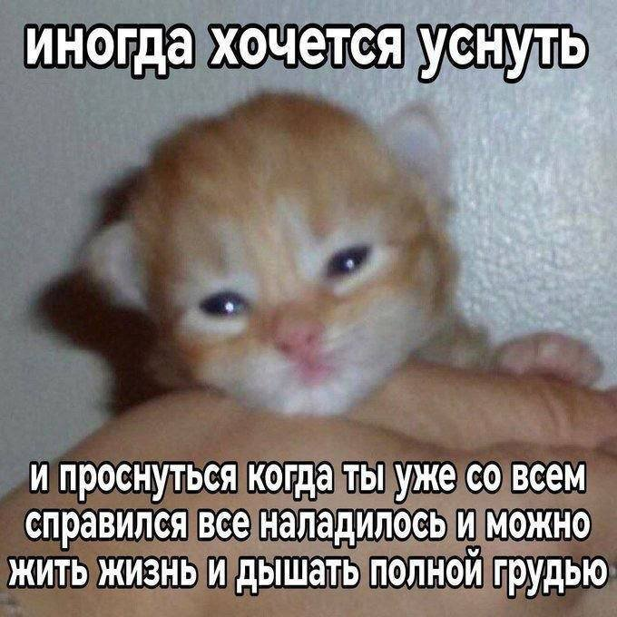 Ann_bird's tweet photo. сейчас так. https://t.co/P2d9ak36ba