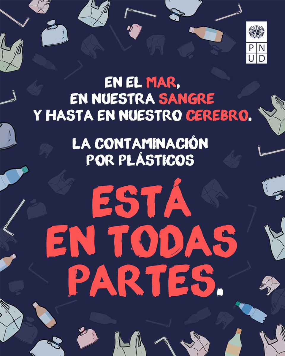 pnud's tweet photo. El plástico 🛍️🩹🧴 está presente en más lugares de los que piensas.

Desde el aire que respiras, hasta la ropa que llevas e incluso en tu cerebro.

Por nuestro planeta y por las futuras generaciones: ¡construyamos un mundo #SinContaminaciónPorPlásticos!

#PlasticFreeJuly https://t.co/2ivh0RlCLs