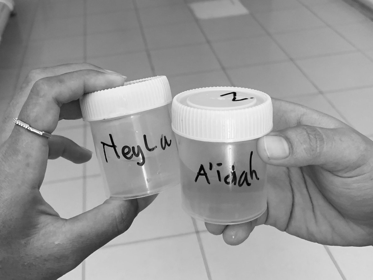 neylzh's tweet photo. 23th + 1hr pertama kali membuat skck dan mcu https://t.co/Bc8k94O0Zm