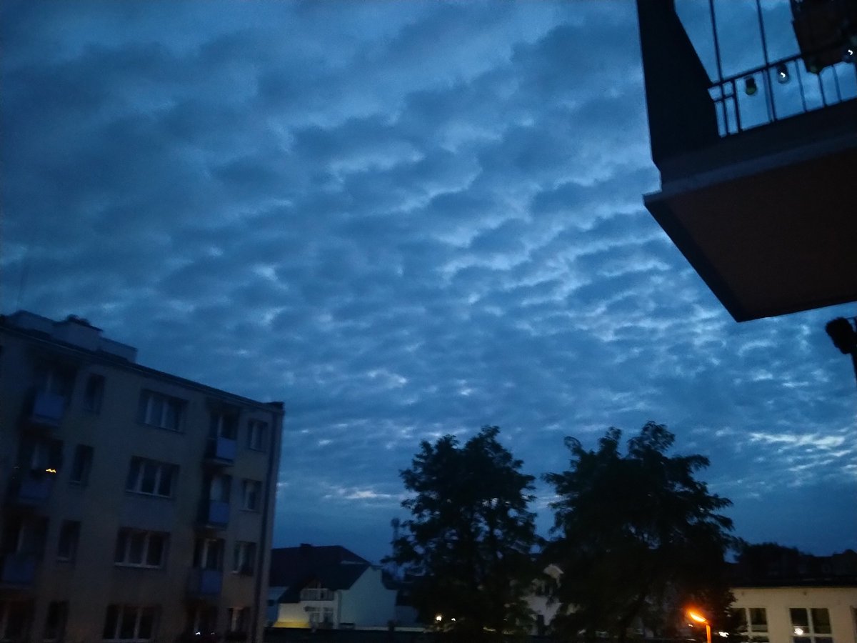 RussoArthuro's tweet photo. Today in the north of Poland on a hot day 37C🥵 in a clear sky I saw👀 a plane✈️ cut through the sky with smoke from the engine 🌫️ strange 😏 because in the evening it looks like this 😎30C🥵 and they predict 16C together with a storm and rain🥶H.A.R.R...😈 https://t.co/xIoW7Wu7sM