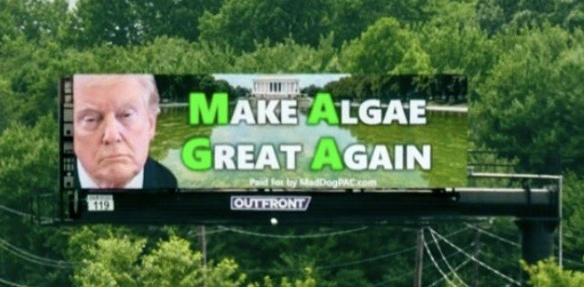 TrueFactsStated's tweet photo. It’s up! Let’s keep it up through July 4. Chip in https://t.co/tLqBQPTE3X https://t.co/pv8hJSOKFk