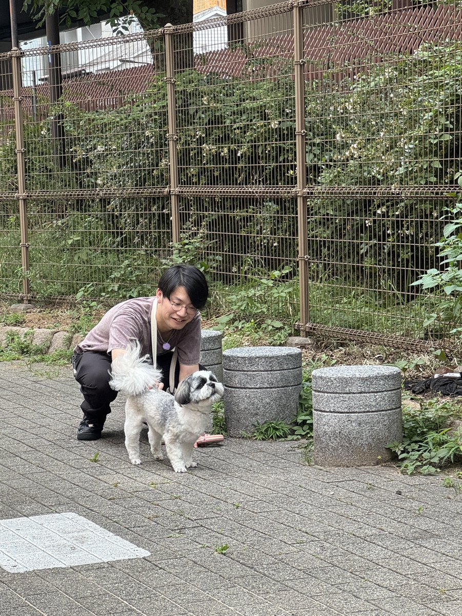 eohikari_ch's tweet photo. 本日は #犬ある ロケです🐶
まだ夏に入る前ですが、このタイミングで #犬と歩く は10月の撮影をしています☀️

今回は #cacao の #浦田スターク さんと
レギュラーわんちゃん #シーズー のパンチくんがお散歩🐩🚶

スタークさんよりカメラマン🤠が気になるパンチくん🌱
スタークさんはパンチくんとの距離を縮めることができるのでしょうか？
お楽しみに🐶

@urata_cacao
@cacaoinfo_