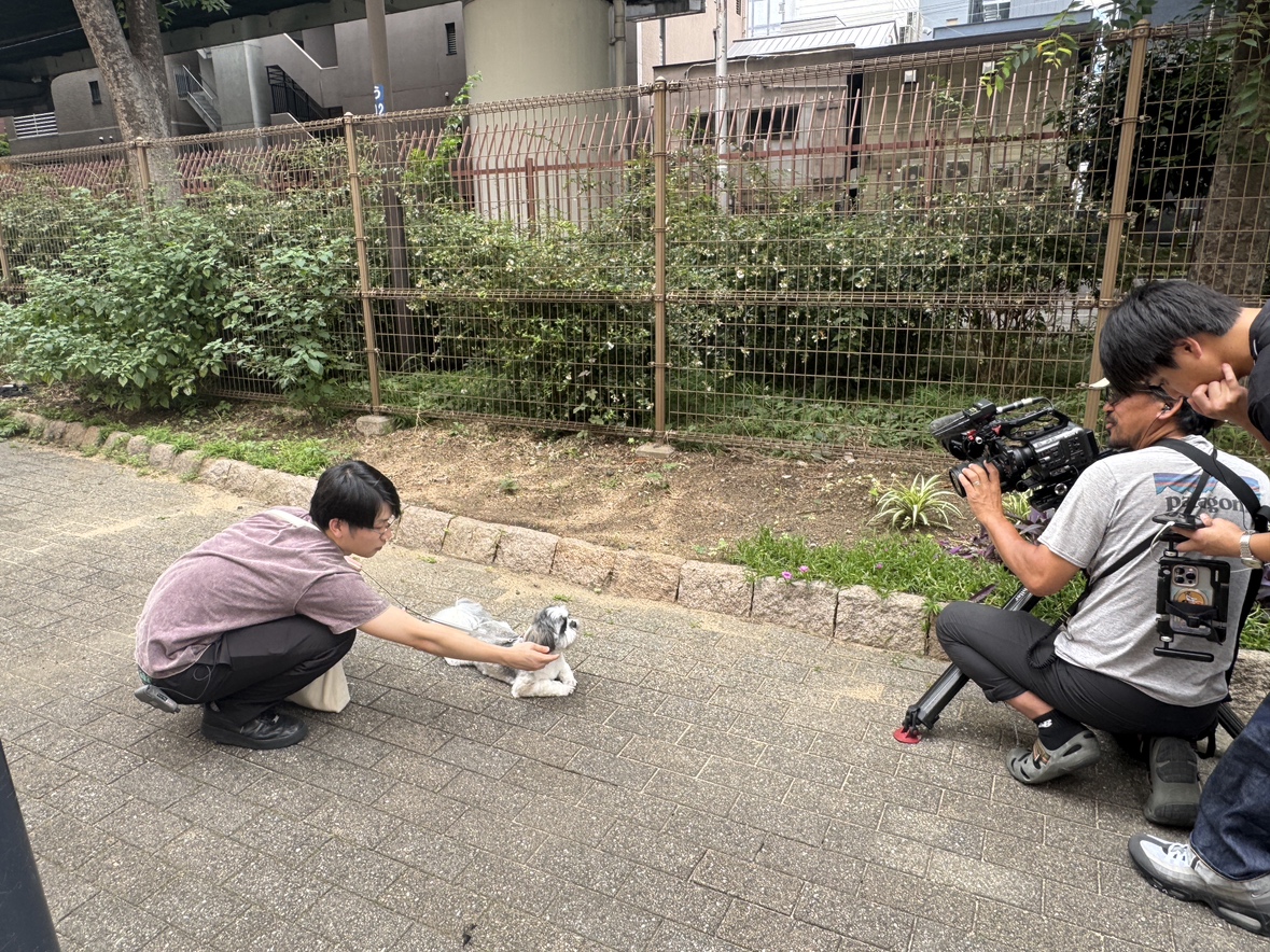 eohikari_ch's tweet photo. 本日は #犬ある ロケです🐶
まだ夏に入る前ですが、このタイミングで #犬と歩く は10月の撮影をしています☀️

今回は #cacao の #浦田スターク さんと
レギュラーわんちゃん #シーズー のパンチくんがお散歩🐩🚶

スタークさんよりカメラマン🤠が気になるパンチくん🌱
スタークさんはパンチくんとの距離を縮めることができるのでしょうか？
お楽しみに🐶

@urata_cacao
@cacaoinfo_