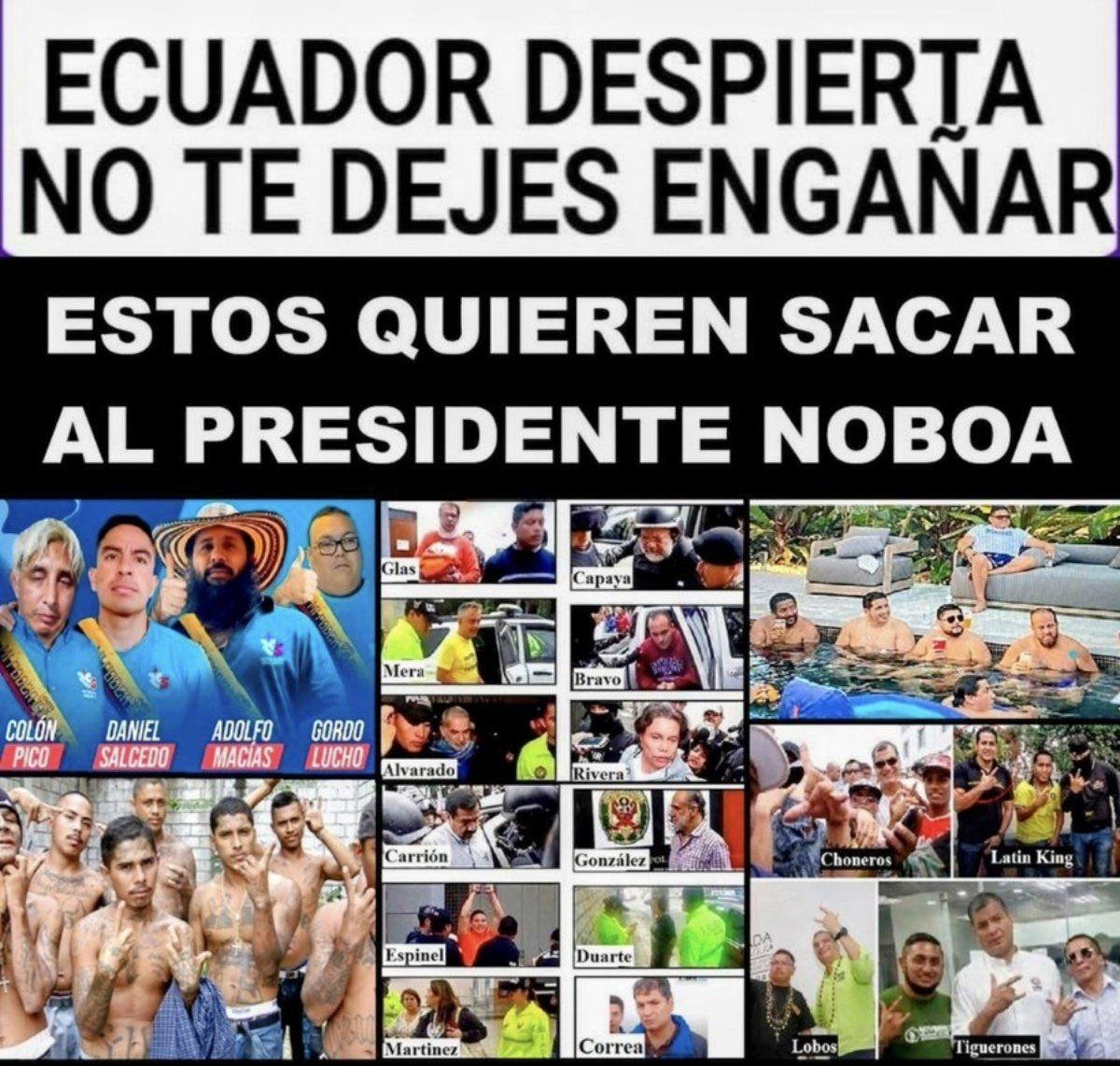 Plenitud de vida tweet media