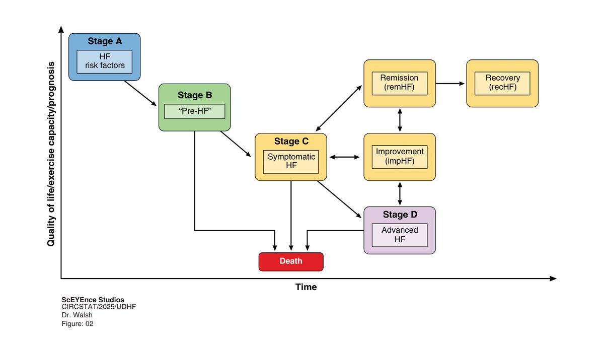 lamcardio's tweet photo. 🚨 New publication: AHA/ACC/ESC/WHF Expert Consensus on the Second Universal Definition of Heart Failure (2026) is out.

Honoured to be part of the writing group on this global effort. It moves us toward more nuanced, individualised HF care!

🔗https://t.co/0w2W4QQDbc https://t.co/zengkA3lyU