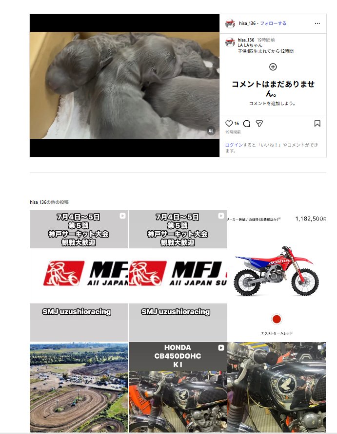3eTYbCXqIjprjdq's tweet photo. 地元での全日本モトクロスレースあったのに子犬の紹介？
乗っ取り失敗したサーキットでの開催だから恥ずかしくてあげれないか…
レースの紹介もできないくらいならモトクロスチーム名乗るなよジジィ！
気持ち悪い!!（笑）
#うず潮レーシング福山
#全日本モトクロス
#JMX
#バイク　
#KTMJ
#元KTM福山 https://t.co/5p5PObRtj7