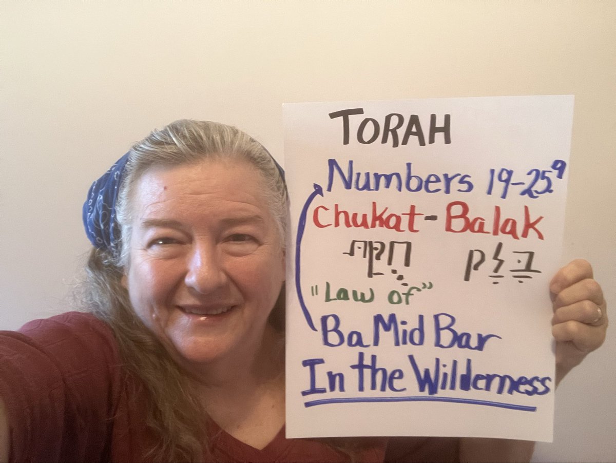 WWJDSandyLynn's tweet photo. TORAH Numbers 19-25.9 Chukat/Balak Introduction https://t.co/uinkKOzGyk