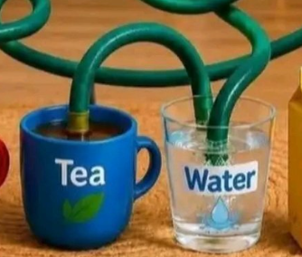 Fed3ratic's tweet photo. @Heisnooh it kinda looks like the tube is bent then goes to the tea https://t.co/whifjQfGJ1