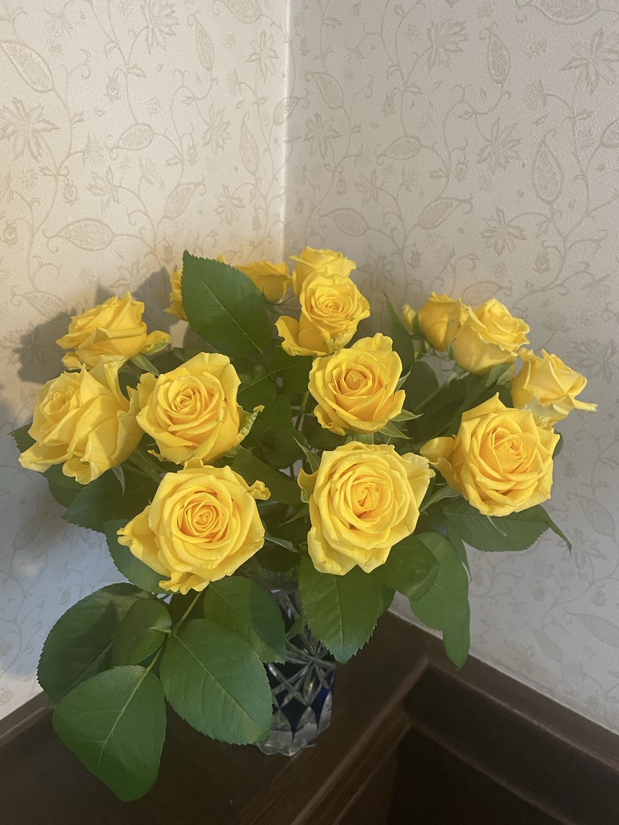 caferuhe's tweet photo. おはようございます😊
6月30日火曜日、本日から7月17日金曜日まで夏休みでございます🎋
ご来店をお考えのお客様申し訳ございません🙇‍♀️
ご来店くださったお客様ありがとうございました💐
Instagram     cafe.ruhe 
#cafe    #カフェルーエ　#紅茶　#薔薇 https://t.co/QIvjc8fxga